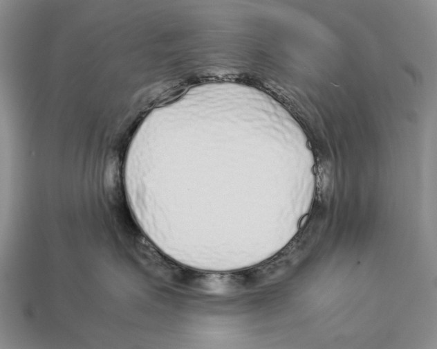 X0000113040623200909241436