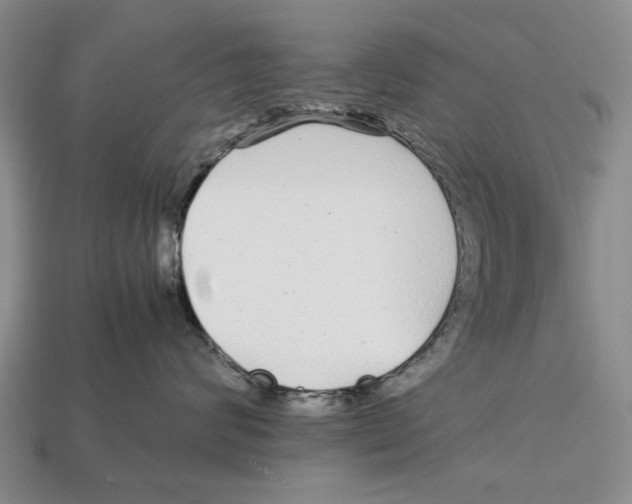 X0000113040624200909241436
