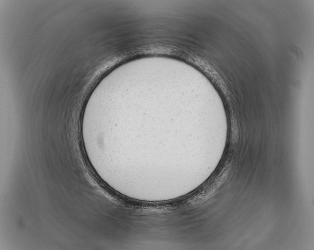 X0000113040625200909241435