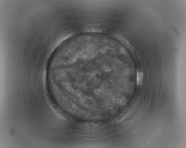 X0000113040627200909241435