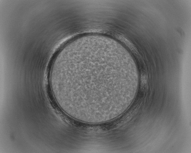X0000113040628200909241435