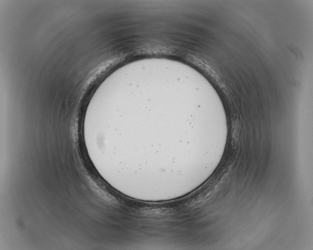 X0000113040629200909241435