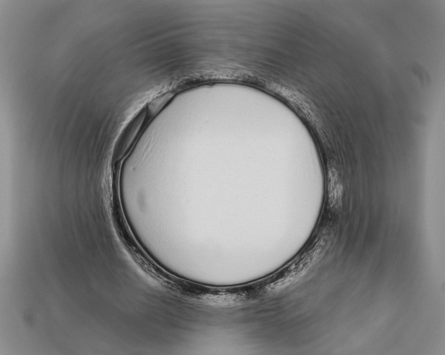 X0000113040630200909241435