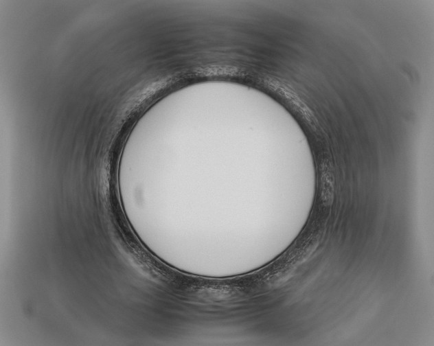 X0000113040631200909241435