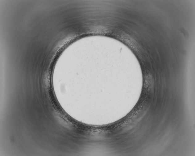 X0000113040632200909241435