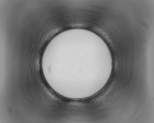 X0000113040633200909241435