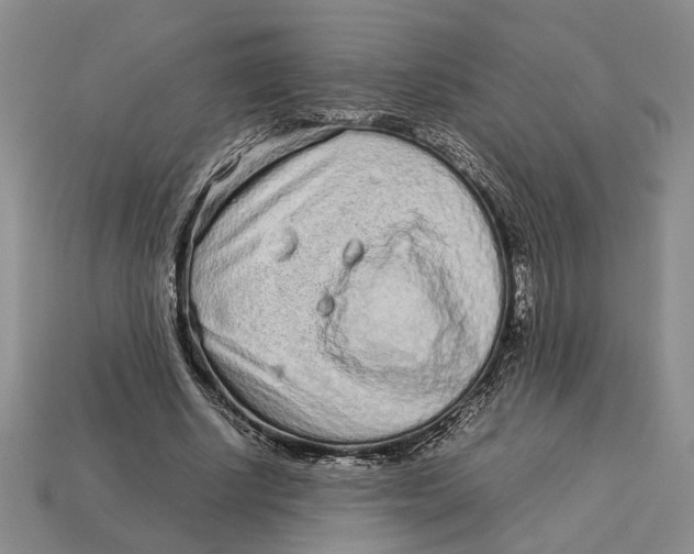 X0000113040634200909241435