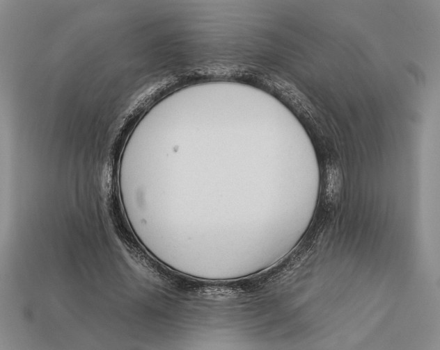 X0000113040636200909241435