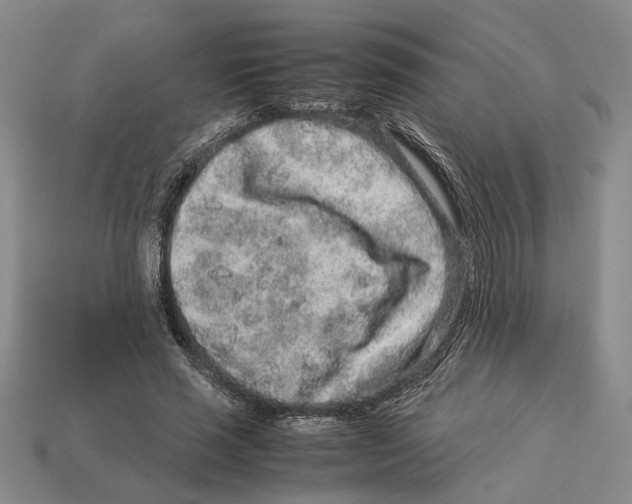 X0000113040637200909241435