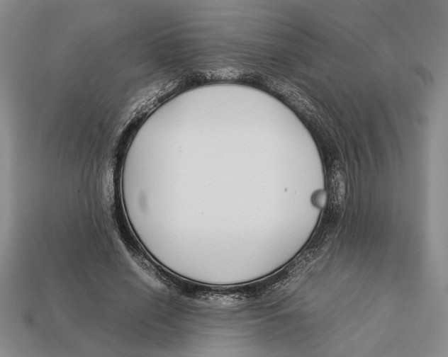 X0000113040638200909241435