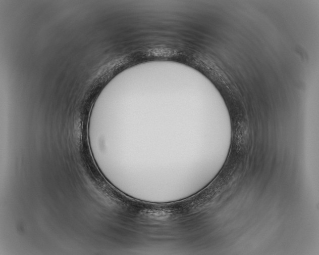 X0000113040639200909241435