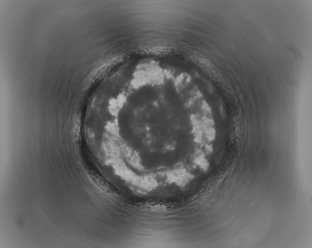 X0000113040640200909241435