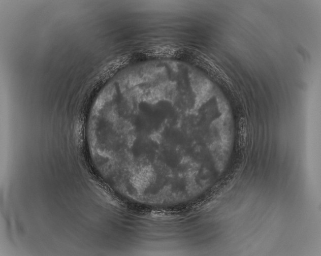 X0000113040641200909241435