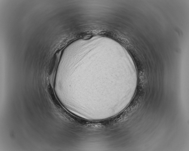 X0000113040642200909241435