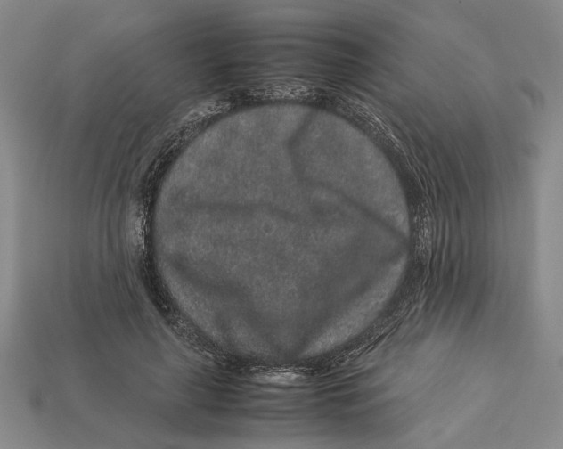 X0000113040643200909241435