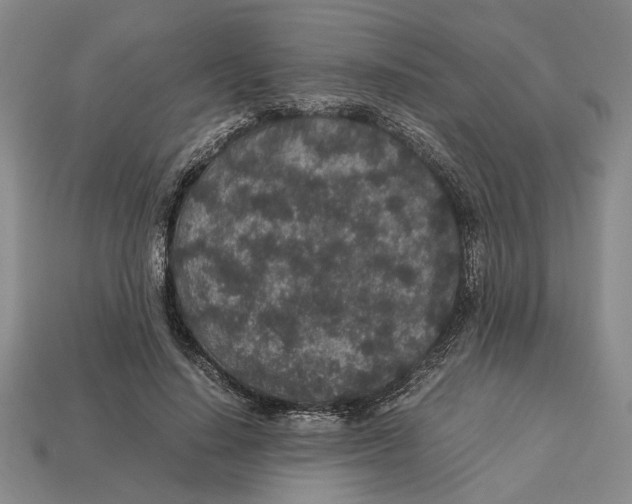 X0000113040644200909241435
