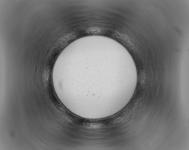 X0000113040645200909241435