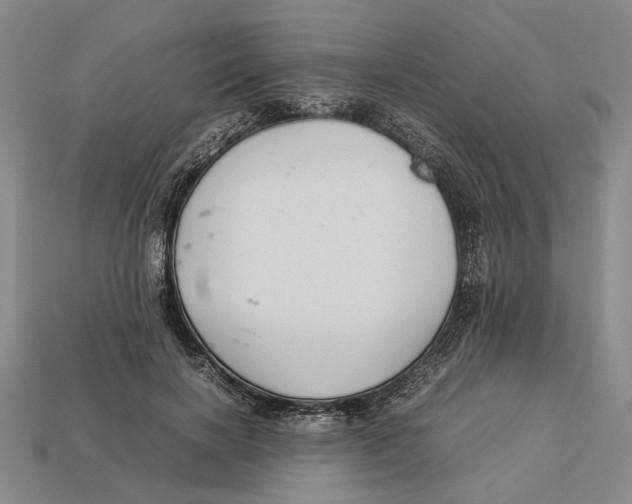 X0000113040646200909241435