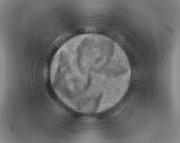 X0000113040648200909241435