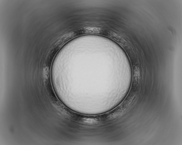 X0000113040649200909241435