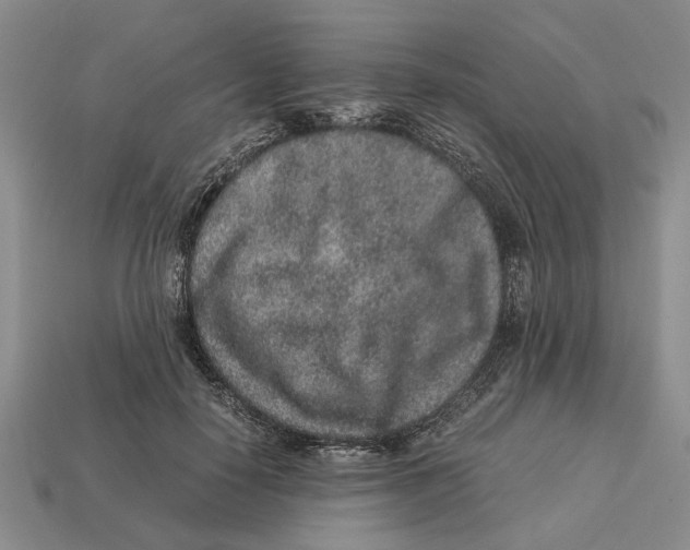 X0000113040650200909241435