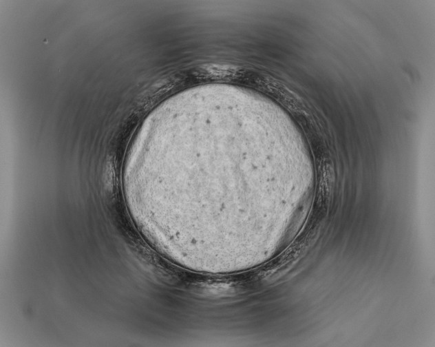 X0000113040651200909241435
