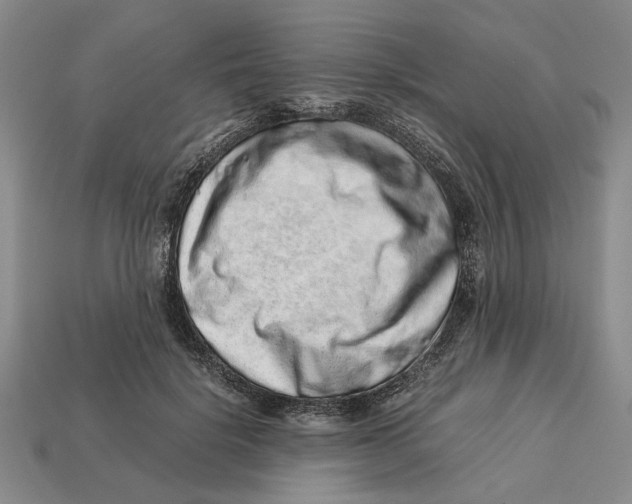 X0000113040652200909241435