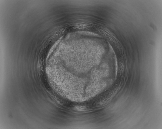 X0000113040653200909241435