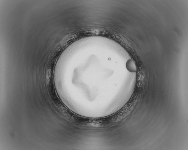 X0000113040656200909241435