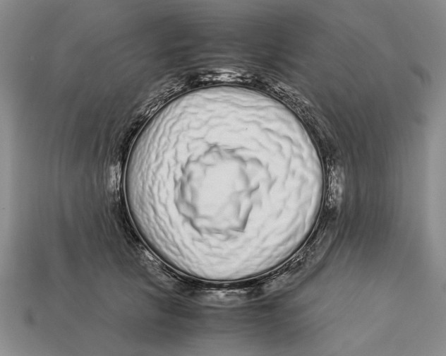 X0000113040657200909241435