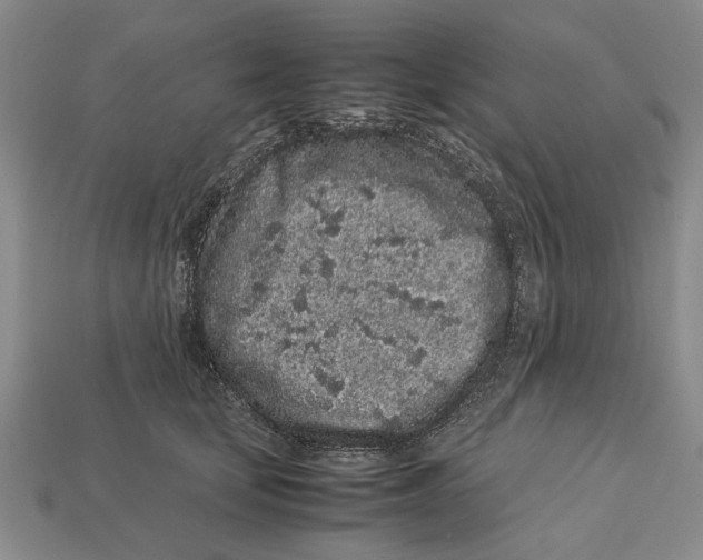 X0000113040659200909241435