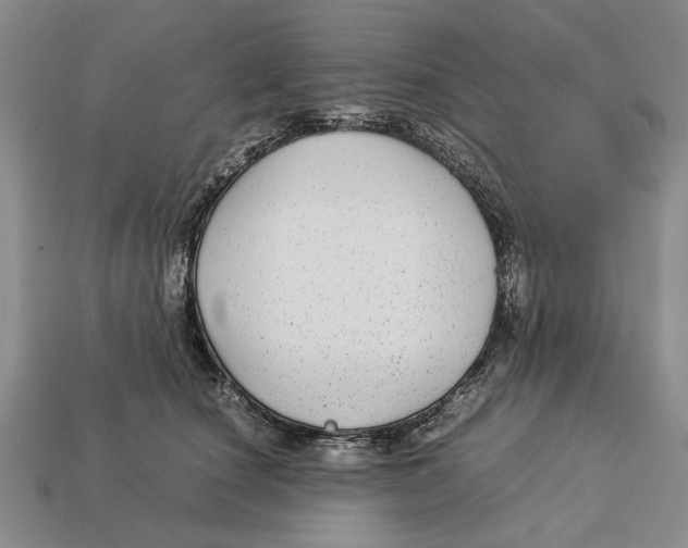 X0000113040660200909241435