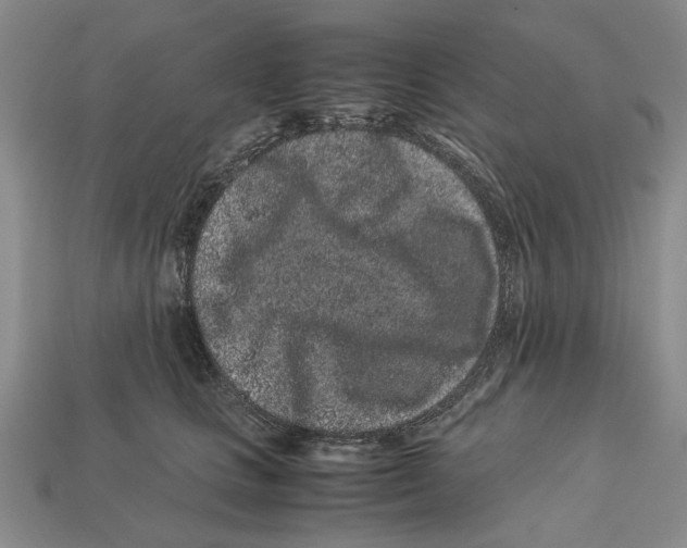 X0000113040661200909241435