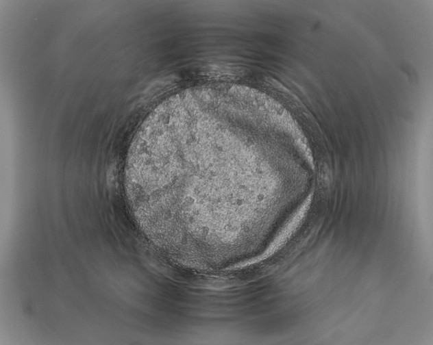 X0000113040663200909241435