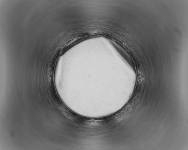 X0000113040664200909241436