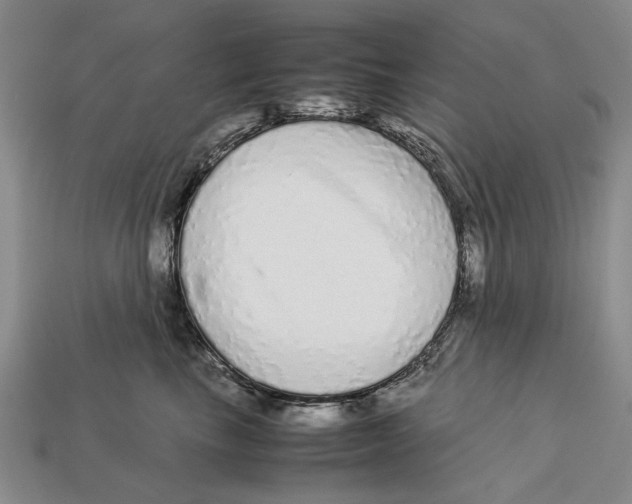 X0000113040665200909241436