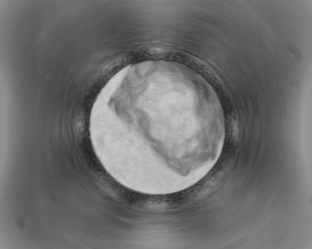 X0000113040668200909241436