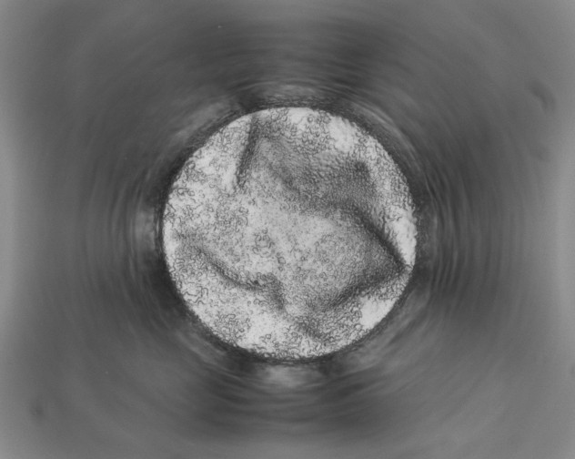 X0000113040669200909241436