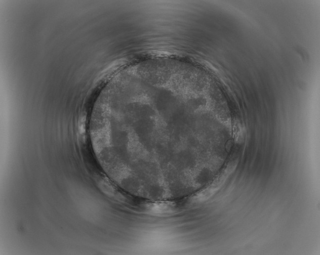 X0000113040670200909241436