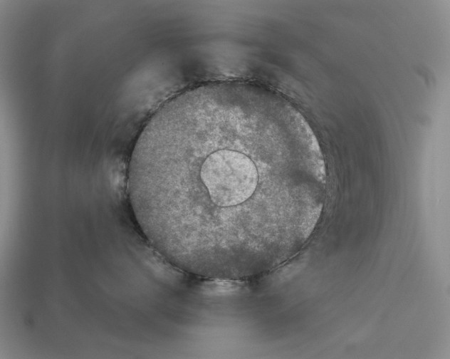 X0000113040672200909241436