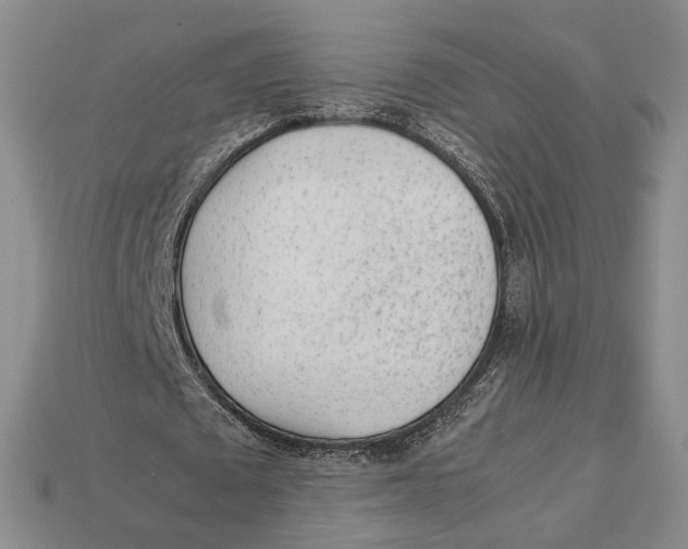 X0000113040673200909241435