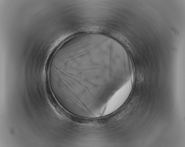 X0000113040674200909241435