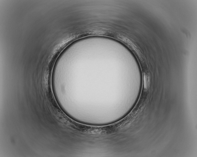X0000113040675200909241435