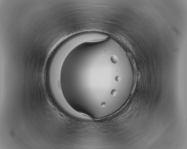 X0000113040676200909241435