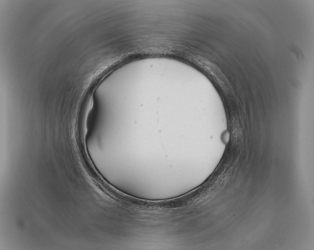 X0000113040677200909241435