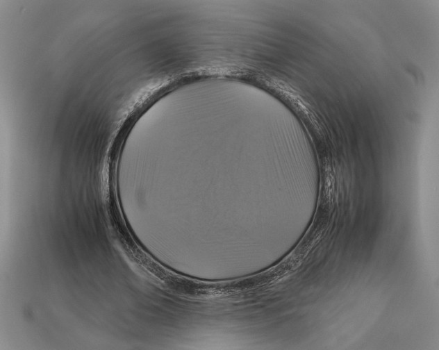 X0000113040678200909241435