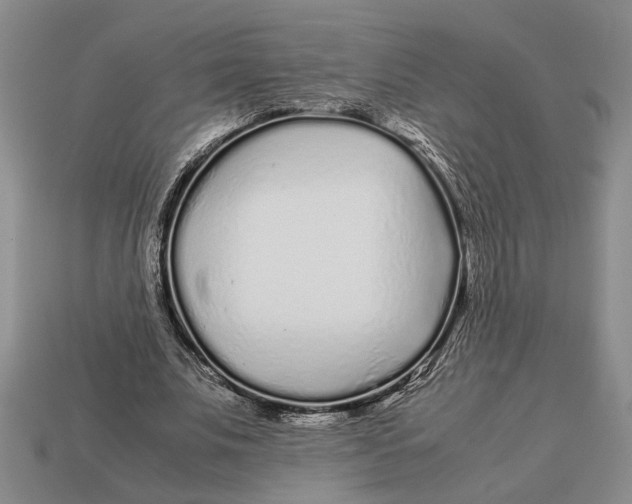 X0000113040679200909241435