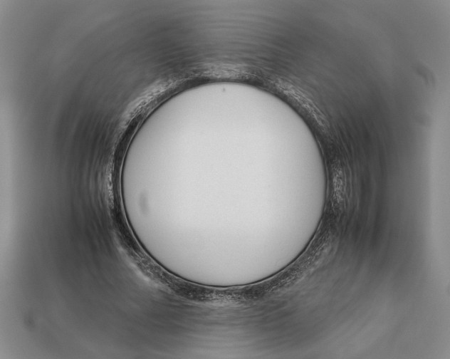 X0000113040682200909241435