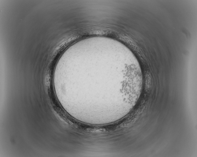 X0000113040683200909241435