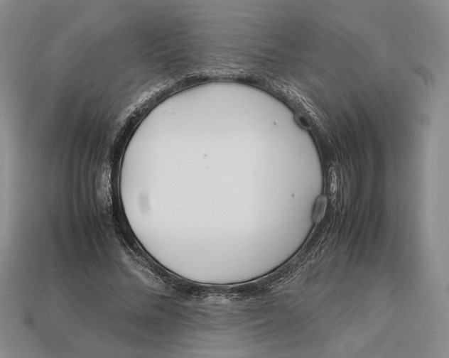 X0000113040684200909241435